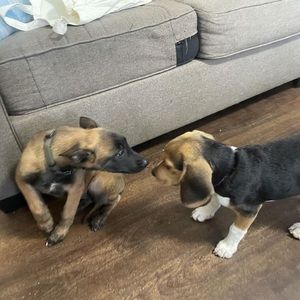 Meet your Posher, Vicky